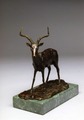 Impala (2).jpg